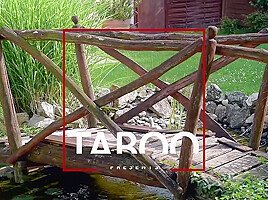 All Holes Crammed – Hot Brunette Hottie Fucked With Strap-on With Ally Breelsen